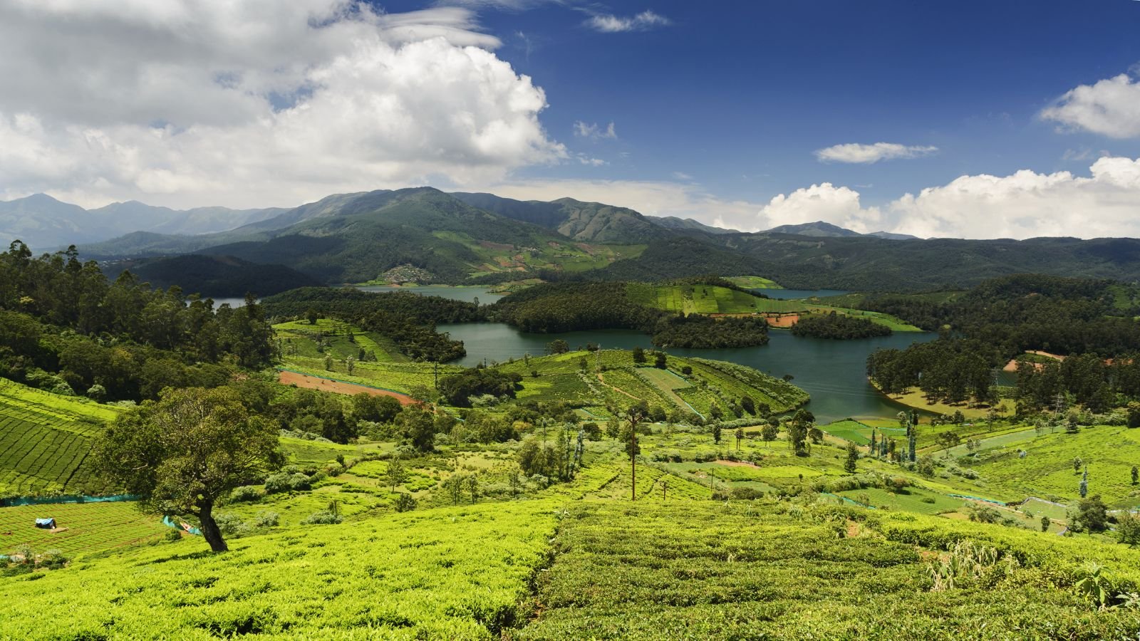 Weekend Getaways, Made Easy